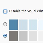 Leave the Visual Editor ON