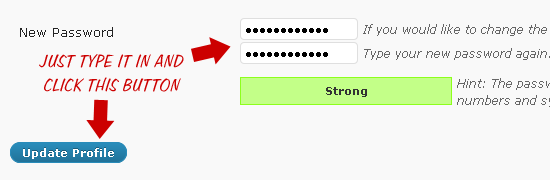 Screenshot: Password-change fields