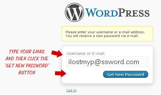Screenshot: Password-reset page