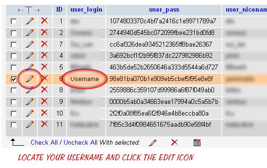 phpmyadmin password hash