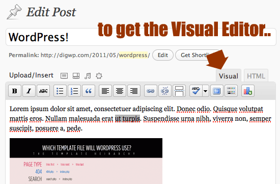 WP Visual Editor
