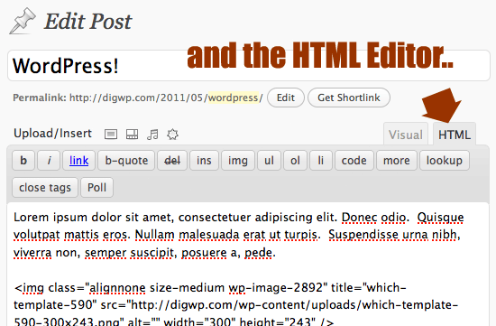 WP HTML/Text Editor