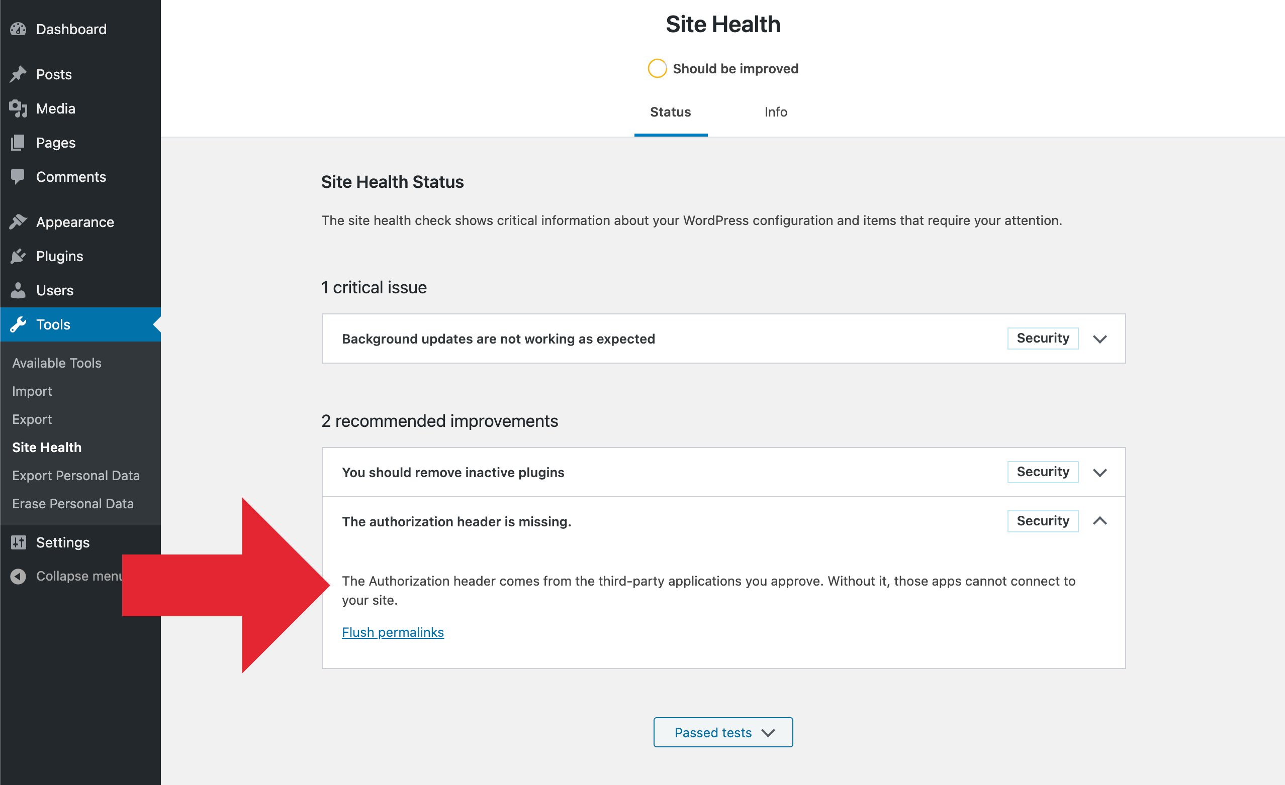 Site Health Results: Authorization Header Missing (Details)